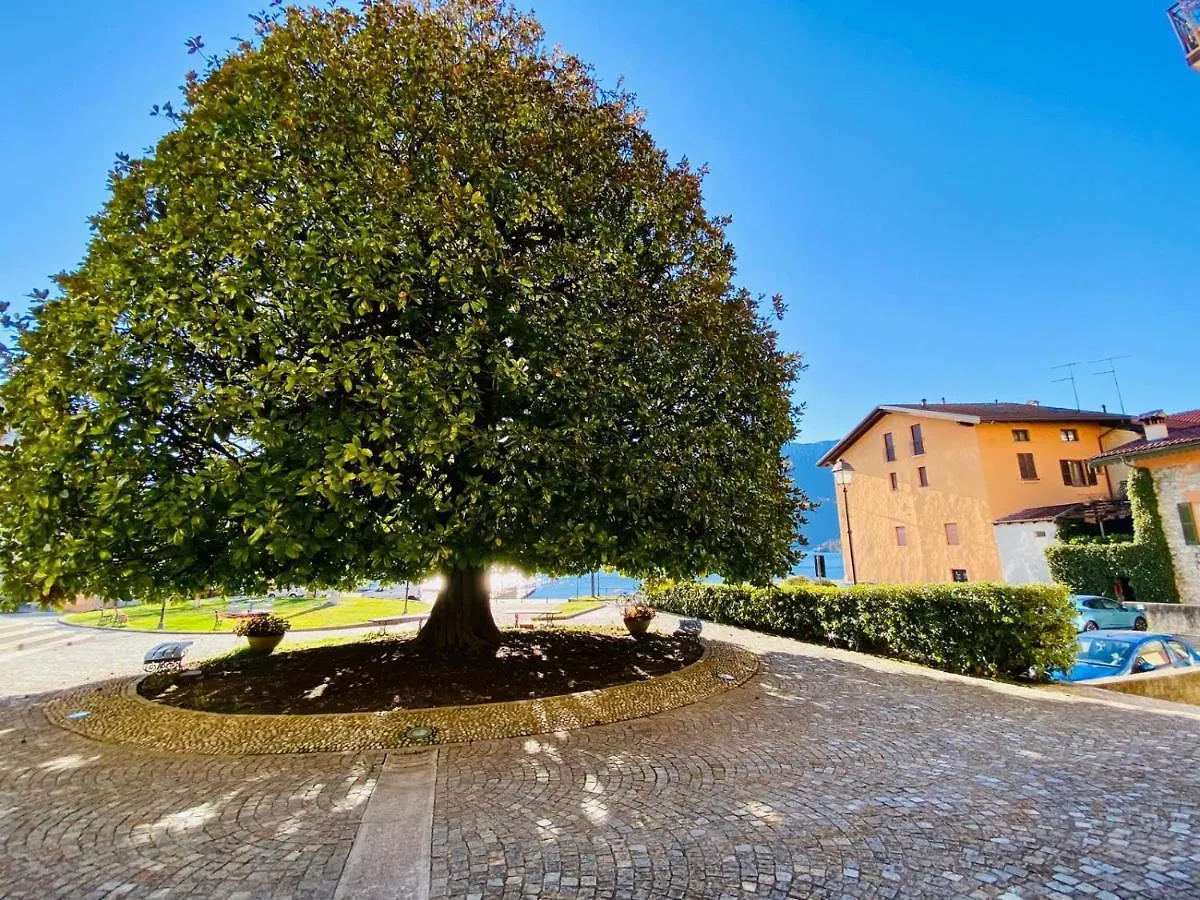 Angelo Loft Villa Tremezzo Holiday home
